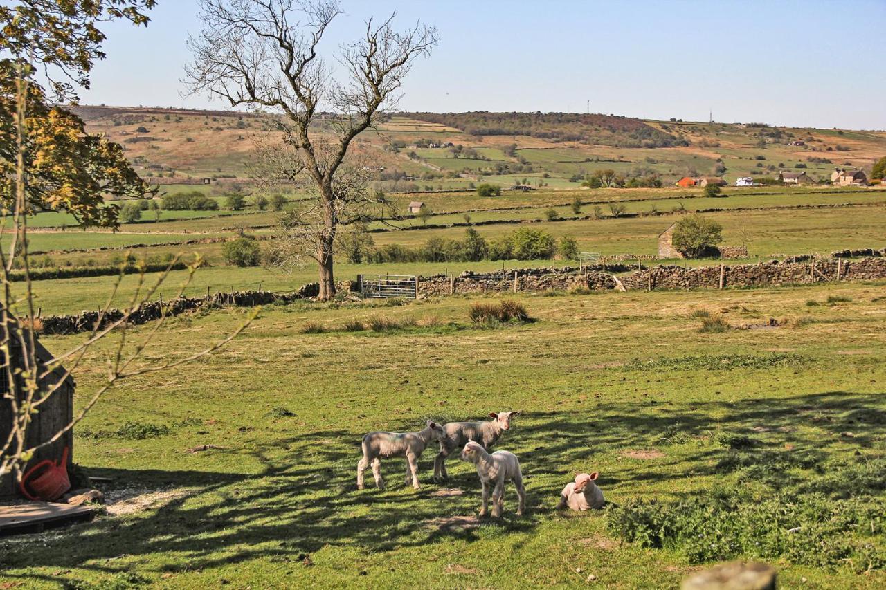 Moorland View Farm B&B Oakamoor ภายนอก รูปภาพ